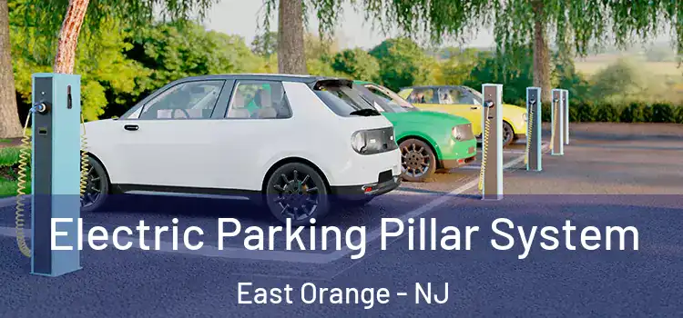 Electric Parking Pillar System East Orange - NJ